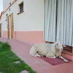 Ca'de'gatti