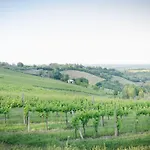 Ca'de'gatti * Faenza