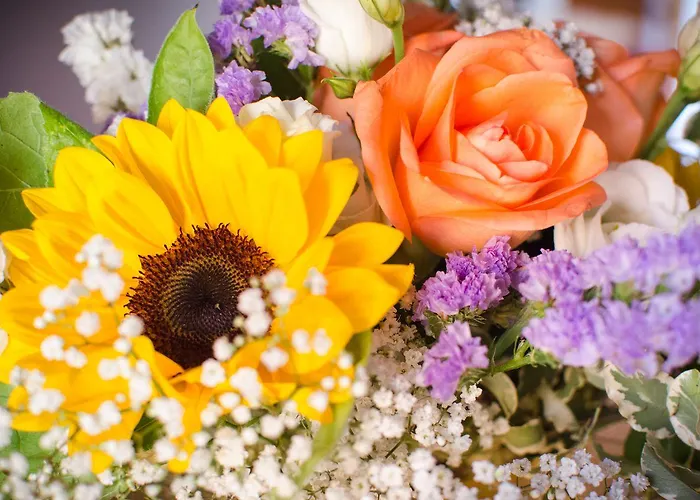 Κατάλυμα σε φάρμα Ca'de'gatti *