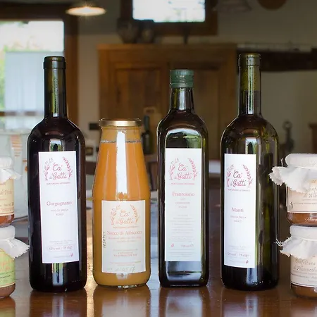 Alojamento de Turismo Rural Ca'de'gatti