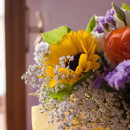 Alojamento de Turismo Rural Ca'de'gatti