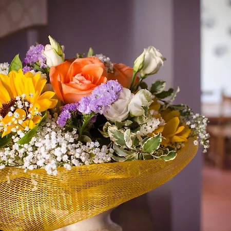 Agroturismo Ca'de'gatti Faenza