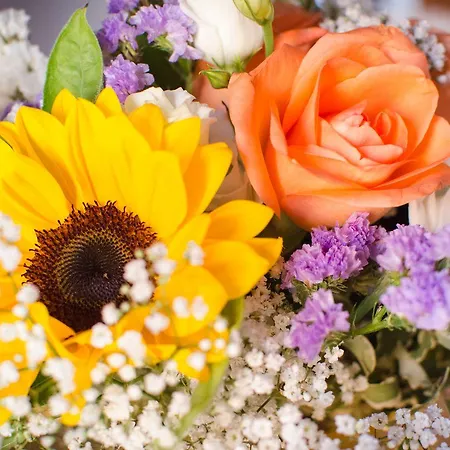 Alojamento de Turismo Rural Ca'de'gatti *