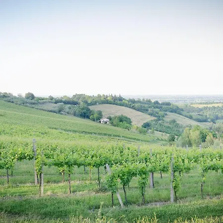 Ca'de'gatti * Faença