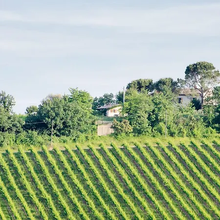 Ca'de'gatti Agroturismo