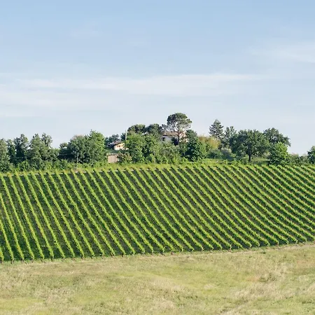 Alojamento de Turismo Rural Ca'de'gatti Faença