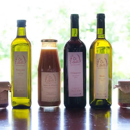 Agroturismo Ca'de'gatti *