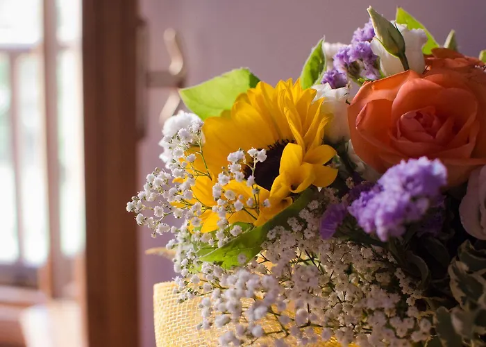 Çiftlik konaklama Ca'de'gatti