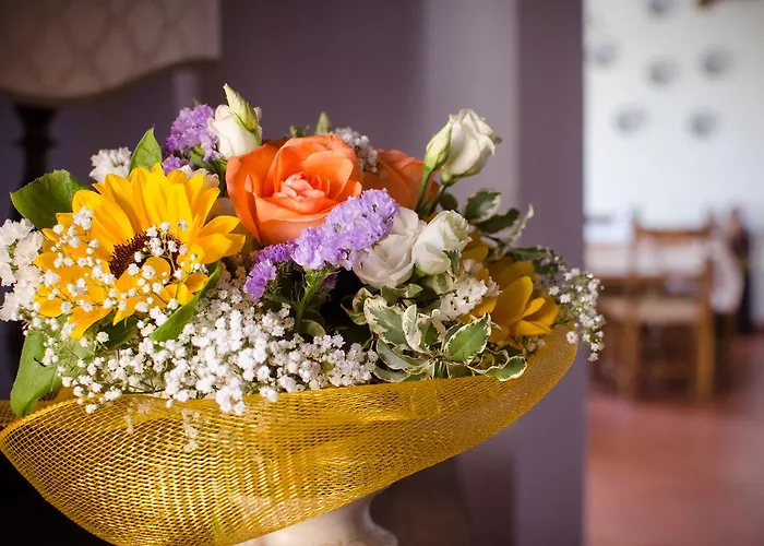 Gospodarstwo agroturystyczne Ca'de'gatti Faenza