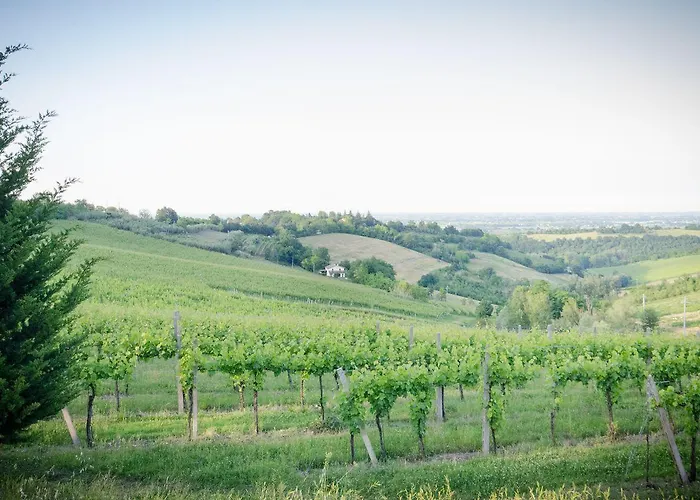 Ca'de'gatti * Faenza