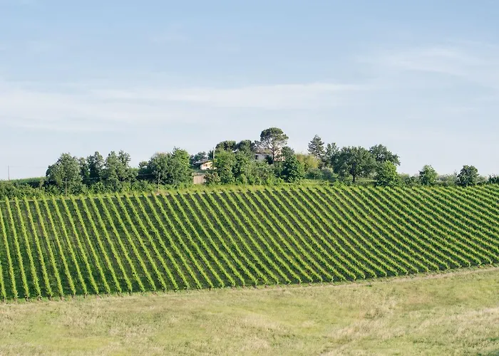 Gospodarstwo agroturystyczne Ca'de'gatti Faenza